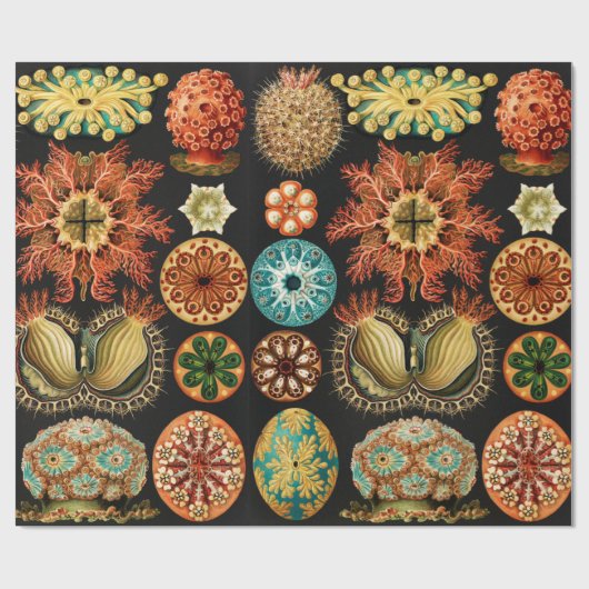 Ascidiae, Seescheiden Marine Life van Ernst Haecke Cadeaupapier (Vlak)