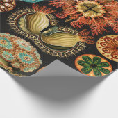 Ascidiae, Seescheiden Marine Life van Ernst Haecke Cadeaupapier (Hoek)