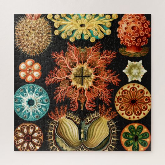 Ascidiae, Seescheiden Marine Life van Ernst Haecke Legpuzzel (Verticaal)
