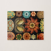 Ascidiae, Seescheiden Marine Life van Ernst Haecke Legpuzzel (Horizontaal)