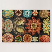Ascidiae, Seescheiden Marine Life van Ernst Haecke Legpuzzel (Horizontaal)