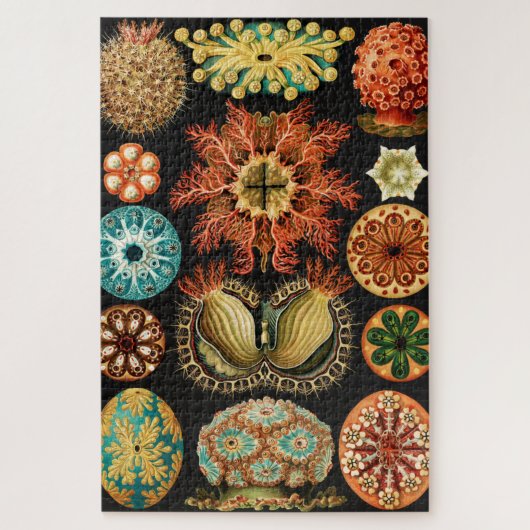 Ascidiae, Seescheiden Marine Life van Ernst Haecke Legpuzzel (Verticaal)