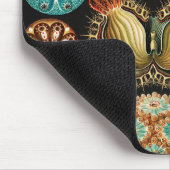 Ascidiae, Seescheiden Marine Life van Ernst Haecke Muismat (Hoek)