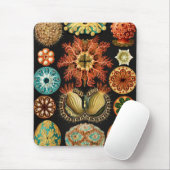 Ascidiae, Seescheiden Marine Life van Ernst Haecke Muismat (Met muis)