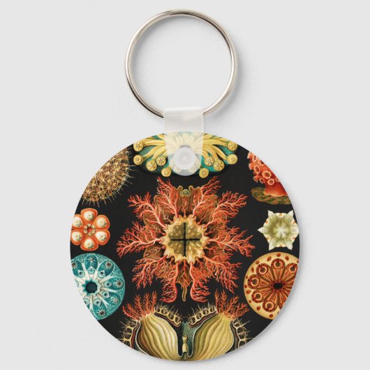 Ascidiae, Seescheiden Marine Life van Ernst Haecke Sleutelhanger (Voorkant)