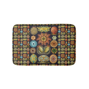 Ascidiae van Ernst Haeckel,  zeedieren Badmat