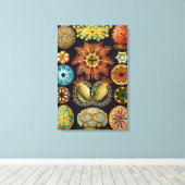 Ascidiae van Ernst Haeckel,  zeedieren Canvas Afdruk (Insitu (Houten vloer))