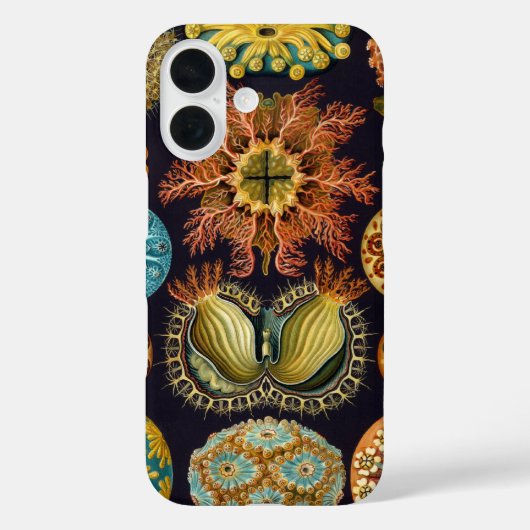 Ascidiae van Ernst Haeckel, zeedieren Case-Mate iPhone Case (Achterkant)