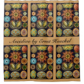 Ascidiae van Ernst Haeckel, zeedieren Douchegordijn (Voorkant)