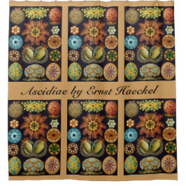Ascidiae van Ernst Haeckel, zeedieren Douchegordijn