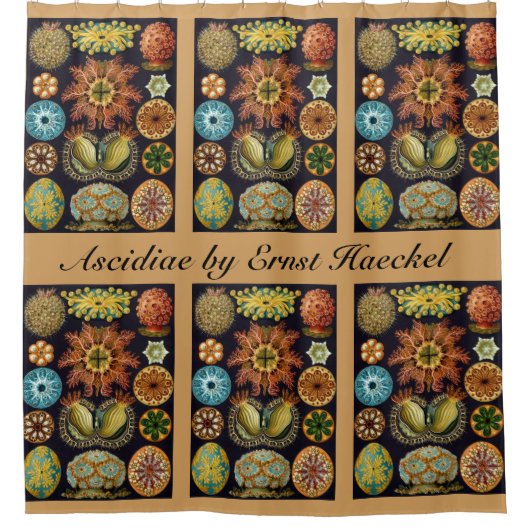 Ascidiae van Ernst Haeckel,  zeedieren Douchegordijn (Voorkant)
