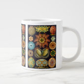 Ascidiae van Ernst Haeckel,  zeedieren Grote Koffiekop (Rechts)