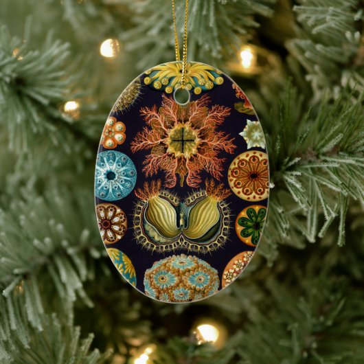 Ascidiae van Ernst Haeckel,  zeedieren Keramisch Ornament (Boom)