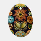 Ascidiae van Ernst Haeckel,  zeedieren Keramisch Ornament (Achterkant)