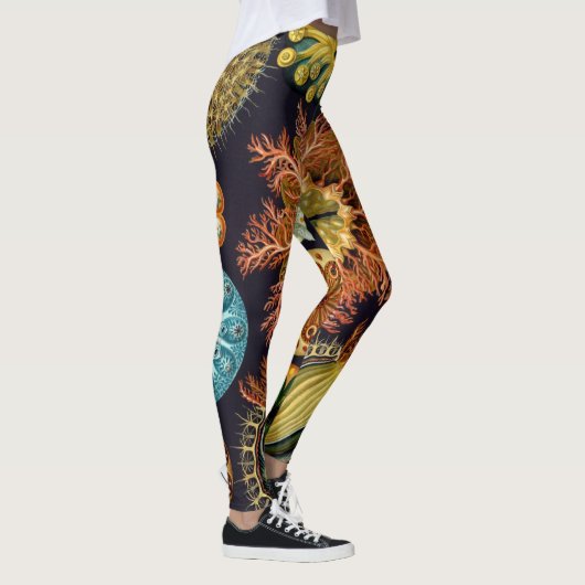 Ascidiae van Ernst Haeckel,  zeedieren Leggings (Rechts)