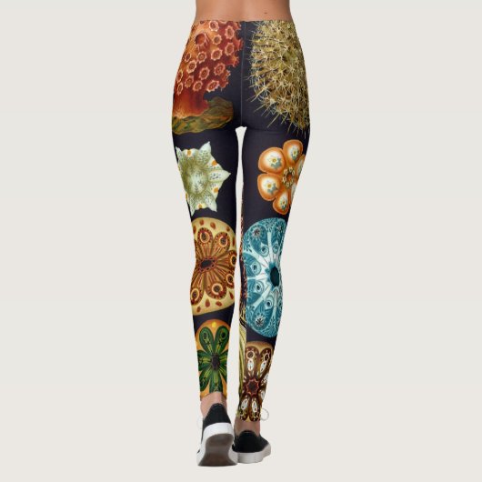 Ascidiae van Ernst Haeckel,  zeedieren Leggings (Achterkant)