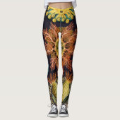 Ascidiae van Ernst Haeckel,  zeedieren Leggings (Voorkant)