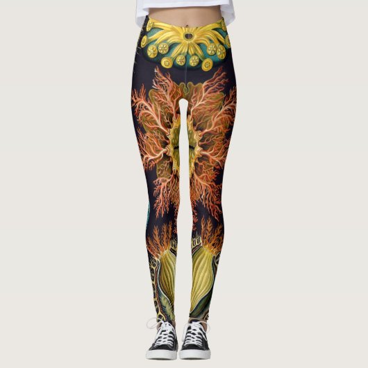 Ascidiae van Ernst Haeckel,  zeedieren Leggings (Voorkant)
