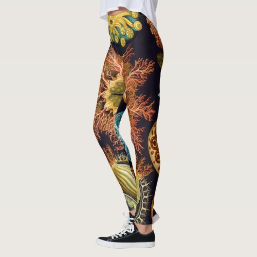 Ascidiae van Ernst Haeckel,  zeedieren Leggings (Links)