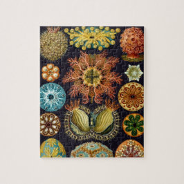 Ascidiae van Ernst Haeckel,  zeedieren Legpuzzel