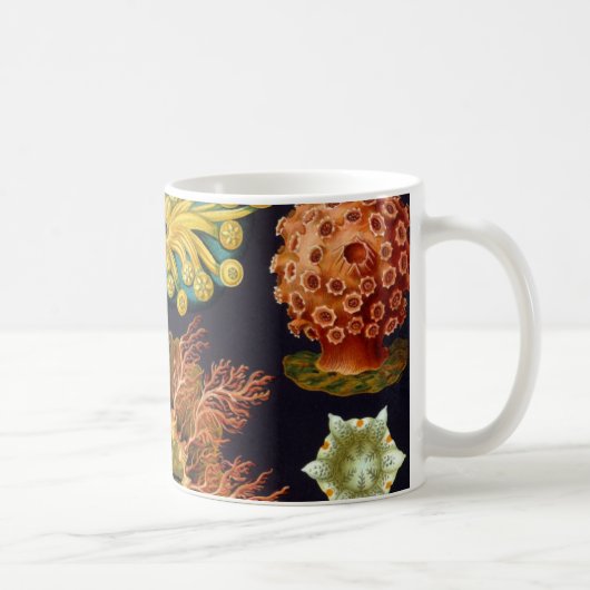 Ascidiae van Ernst Haeckel, zeedieren Mok (Rechts)