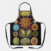 Ascidiae van Ernst Haeckel,  zeedieren Schort (Voorkant)