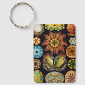 Ascidiae van Ernst Haeckel,  zeedieren Sleutelhanger (Voorkant)
