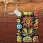 Ascidiae van Ernst Haeckel,  zeedieren Sleutelhanger (Voorkant)