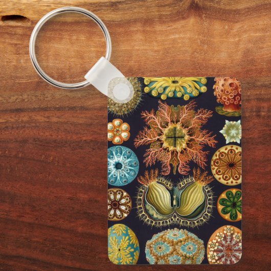 Ascidiae van Ernst Haeckel,  zeedieren Sleutelhanger (Voorkant)