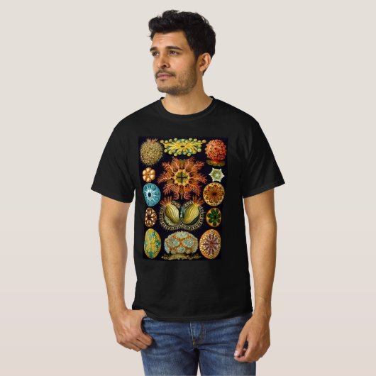 Ascidiae van Ernst Haeckel,  zeedieren T-shirt (Voorkant volledig)