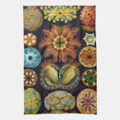 Ascidiae van Ernst Haeckel,  zeedieren Theedoek (Verticaal)