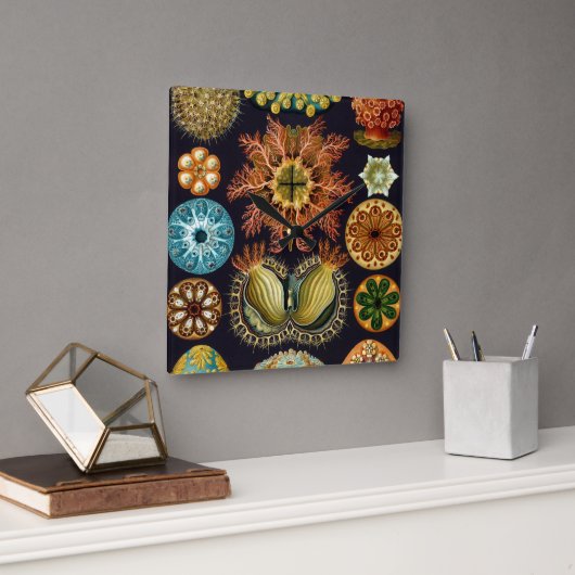 Ascidiae van Ernst Haeckel,  zeedieren Vierkante Klok (Kantoor)