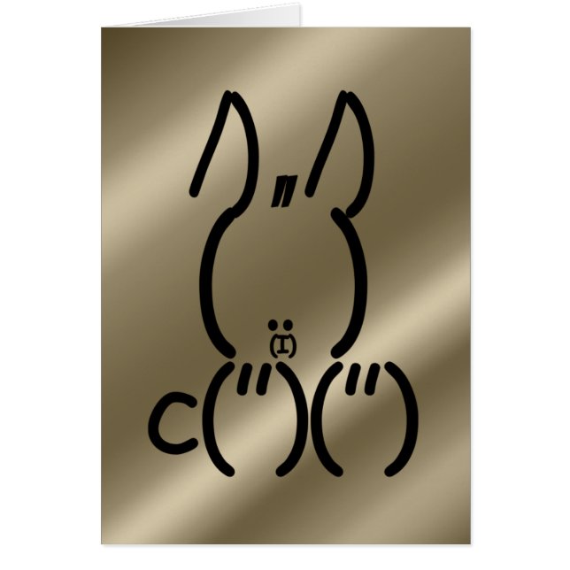 ASCII Rabbit (Voorkant)