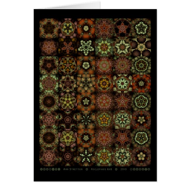 Asclepiads 6x8 (Voorkant)