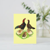 Aseel Black Red Chicken Family Briefkaart (Staand voorkant)
