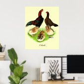Aseel Black Red Chicken Family Poster (Thuiskantoor)