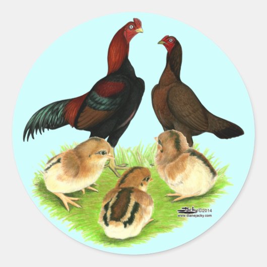 Aseel Black Red Chicken Family Ronde Sticker (Voorkant)