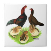 Aseel Black Red Chicken Family Tegeltje (Voorkant)