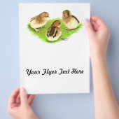 Aseel Black Red Chicken Flyer (Hand)