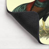 Aseel Black Red Kickens Muismat (Hoek)