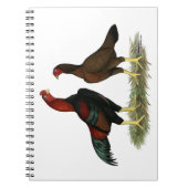 Aseel Black Red Kickens Notitieboek (Voorkant)