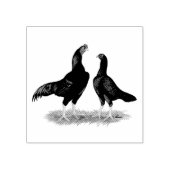Aseel Black Red Kickens Rubberstempel (Afrduk)