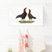 Aseel Black Red Kickens Spandoek (Insitu)