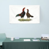 Aseel Black Red Kickens Spandoek (Beurs)