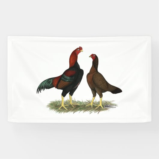 Aseel Black Red Kickens Spandoek (Horizontaal)