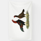 Aseel Black Red Kickens Spandoek (Verticaal)
