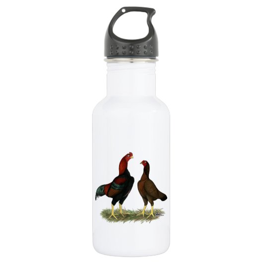 Aseel Black Red Kippen Waterfles (Voorkant)