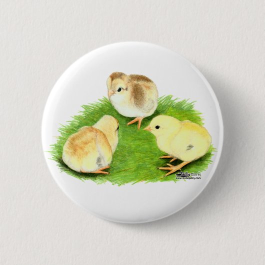 Aseel Tarwe Kuikens Ronde Button 5,7 Cm (Voorkant)