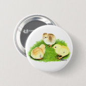 Aseel Tarwe Kuikens Ronde Button 5,7 Cm (Voorkant /achterkant)