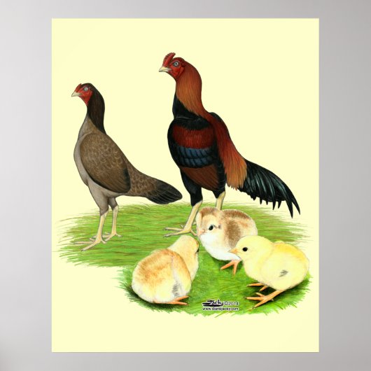 Aseel Wheaten Chicken Family Poster (Voorkant)